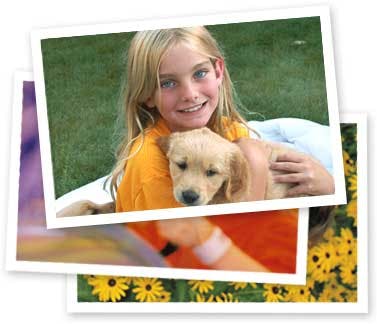 50 Free Prints at Shutterfly, Just pay $3.99 Shipping!