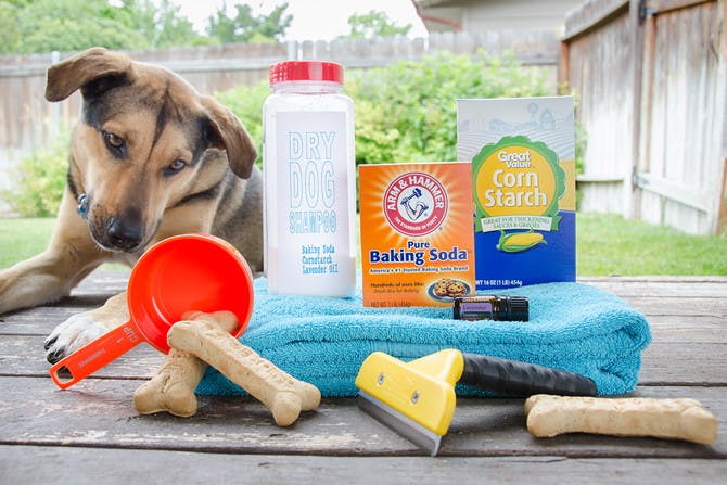 DIY Dry Shampoo for Dogs The Krazy Coupon Lady