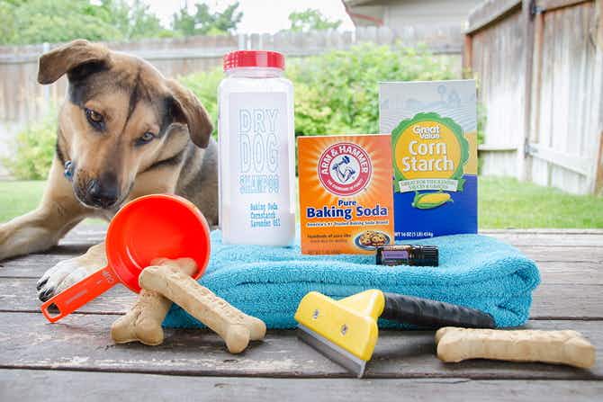 A container of DIY Dry Dog Shampoo sitting on a towel next to a box of Arm & Hammer baking soda, a box of Great Value corn starch, and a jar of lavender essential oil. There is a dog brush, a measuring cup, and bone-shaped dog treats scattered in front of the towel. To the left is a dog looking toward the treats.