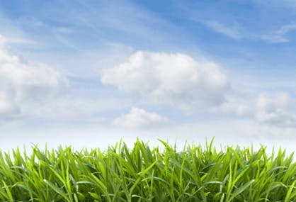 Tips for Frugal DIY Lawn Care