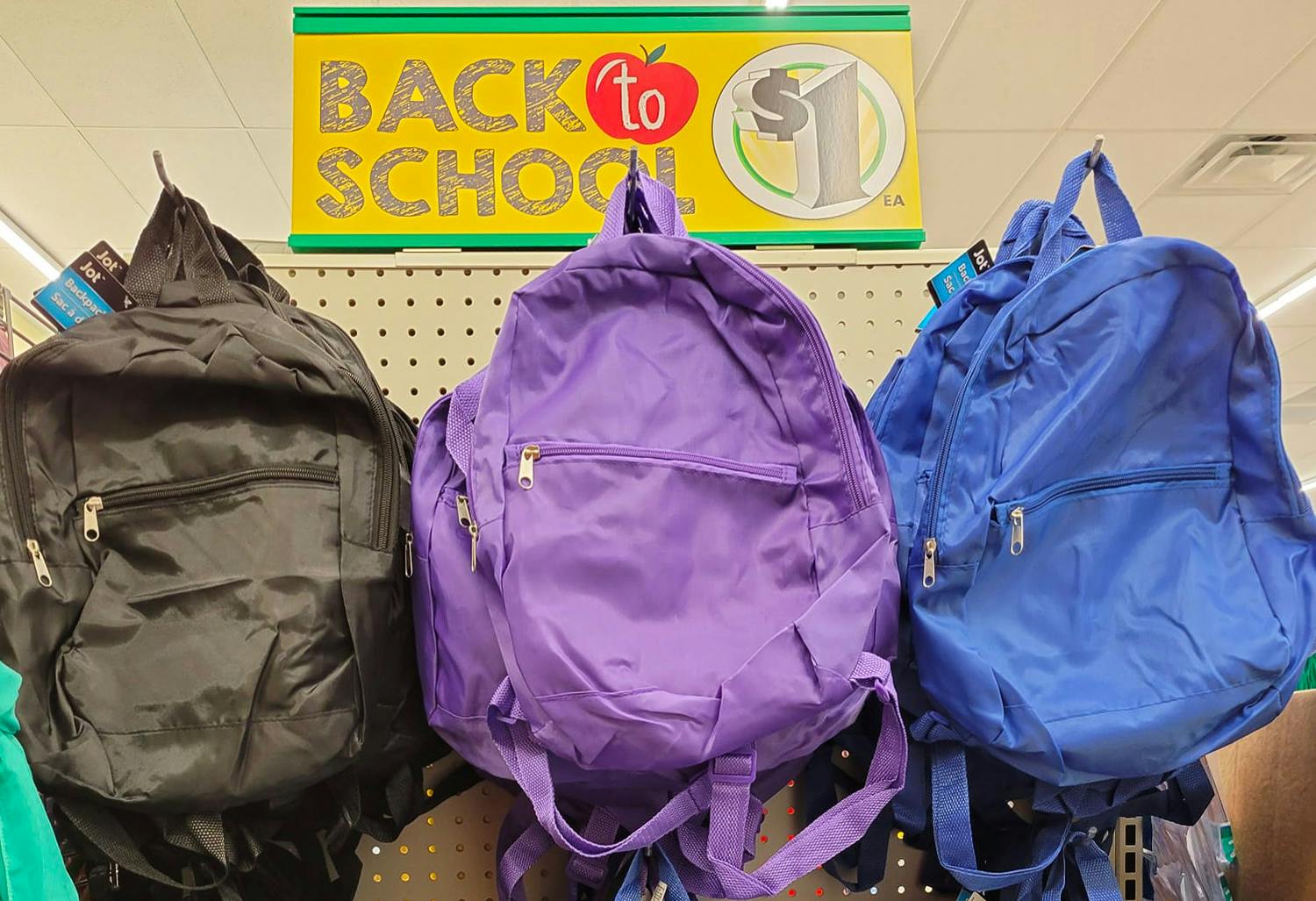 Best BacktoSchool Backpacks with Great Warranties for 2022 The