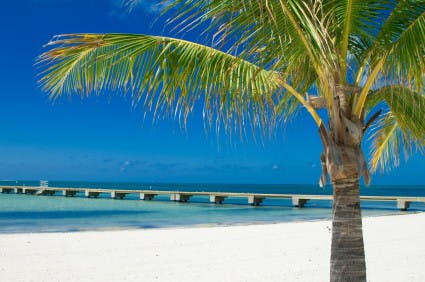 18 Free or Cheap Key West Attractions