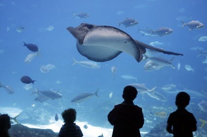 How to Save on Summertime Family Fun