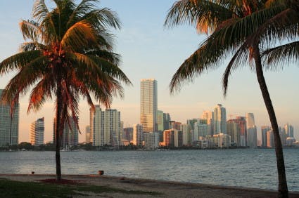 12 Cheap and Fun Things to Do in Miami 