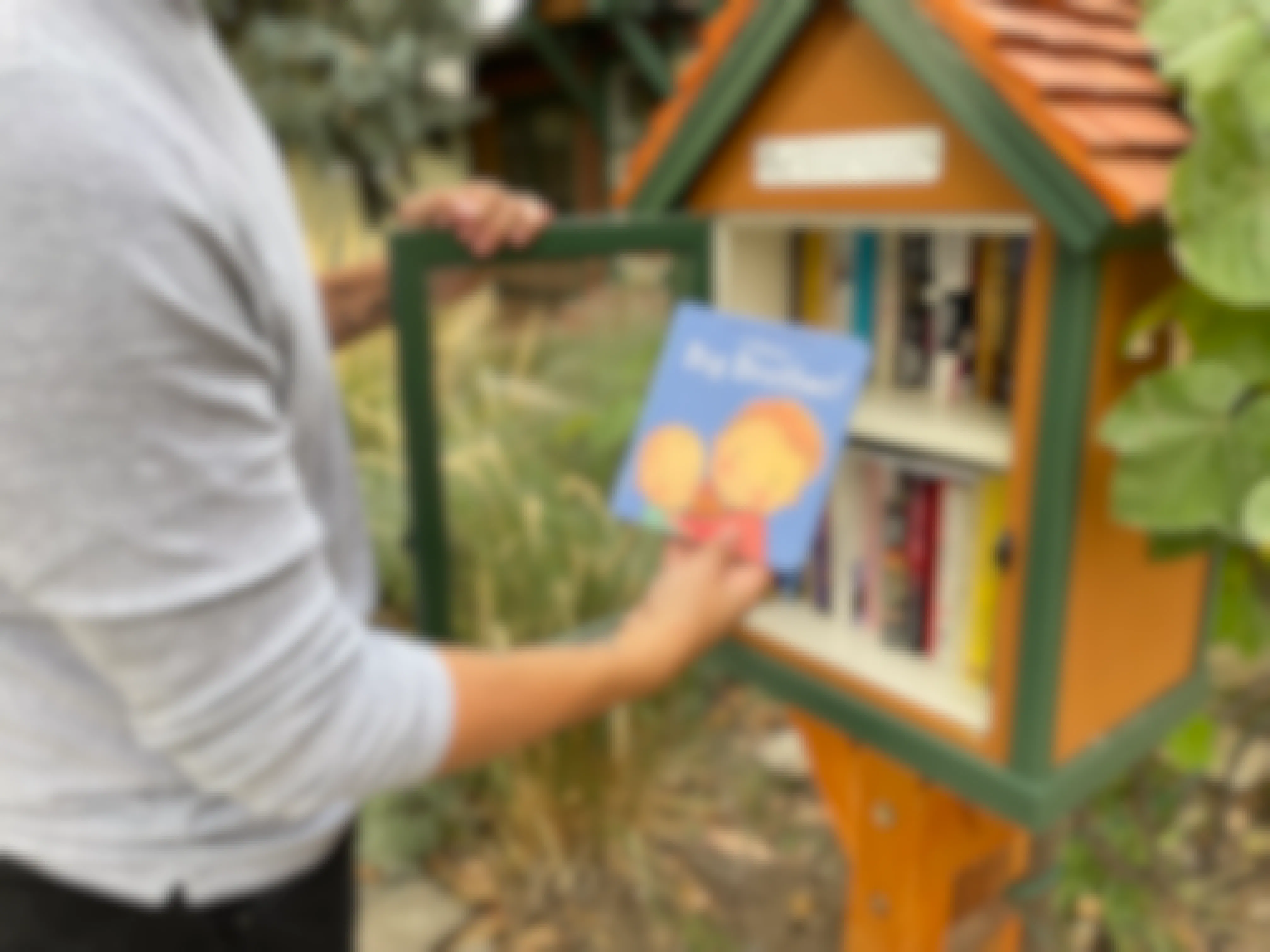 A person holding open the door of a Little Free Library book box and holding a children's book titled 