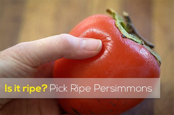 How to Choose Ripe Persimmons