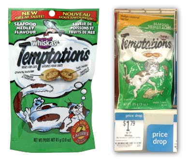 temptations cat treats large bag