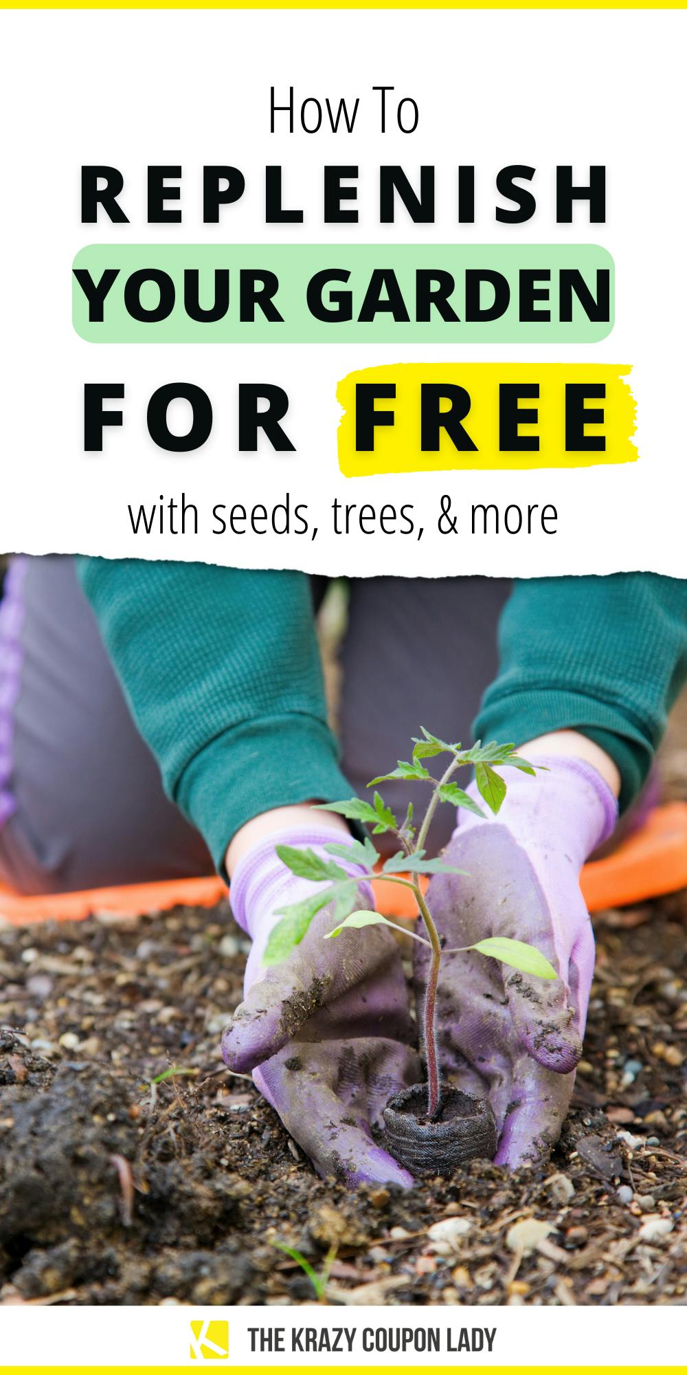 How to Get Free Seeds for Your Garden - The Krazy Coupon Lady