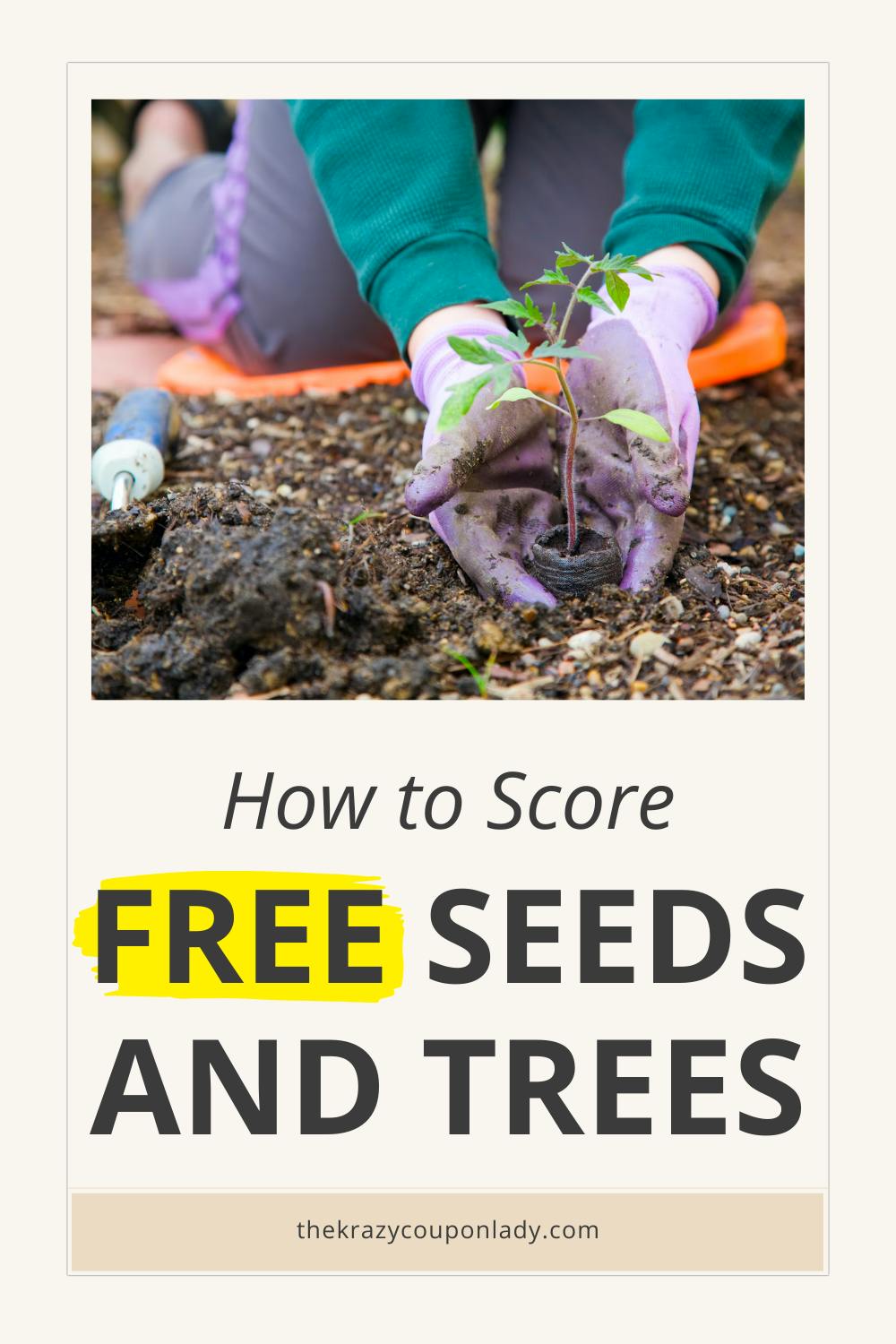 How to Get Free Seeds for Your Garden (2023) The Krazy Coupon Lady