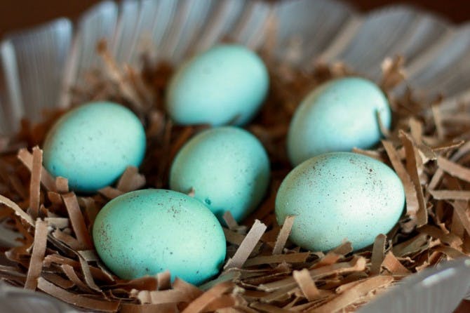 Make decorative speckled eggs out of food dye and craft paint.
