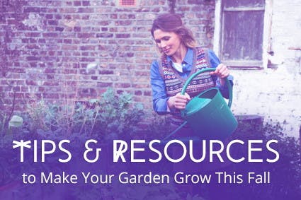 How to Find Freebies to Make Your Fall Garden Grow
