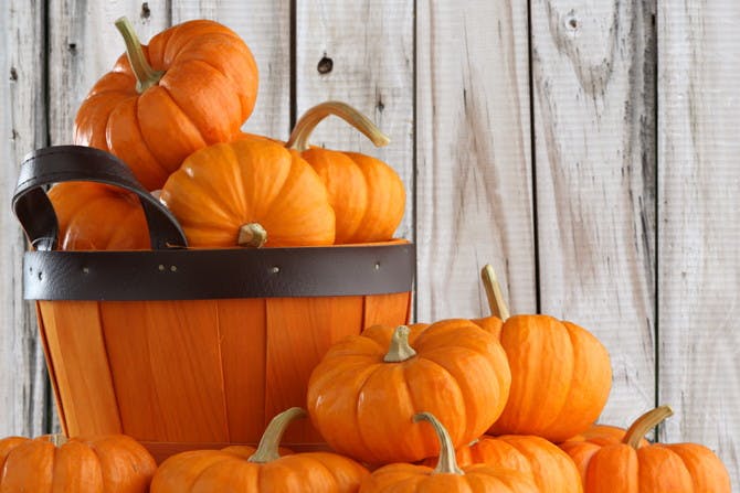 5 Creative and Cost-Saving Uses for Your Leftover Pumpkin