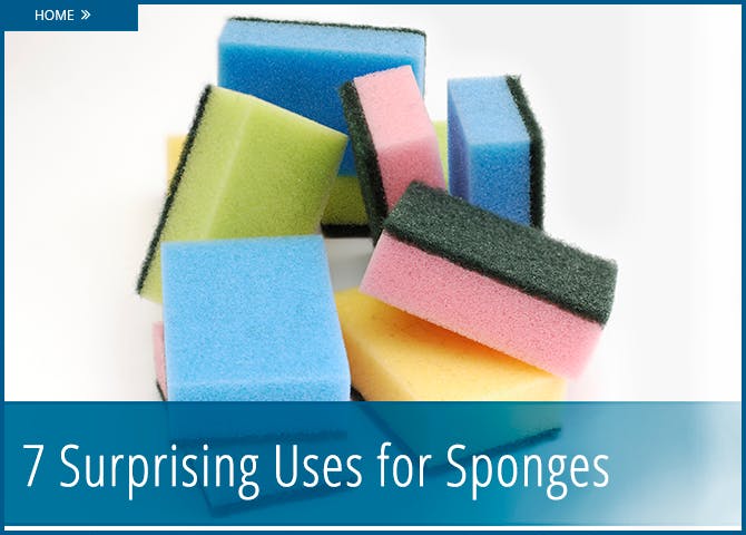 sponge uses
