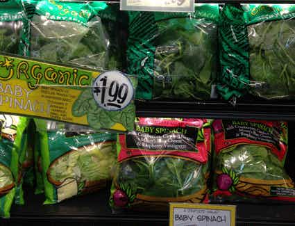 Trader-Joes-Lettuce-Produce-YES-1[5]
