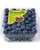 Driscoll's product