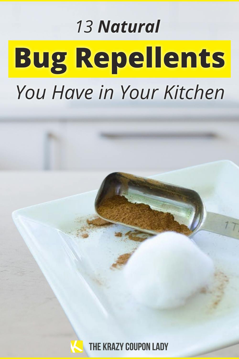 13 Natural Bug Repellents You Can Find in Your Pantry The Krazy