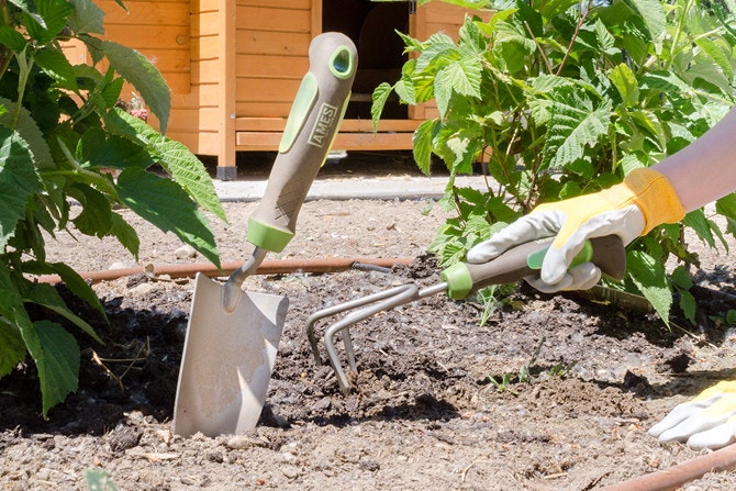 Person raking soil in a garden