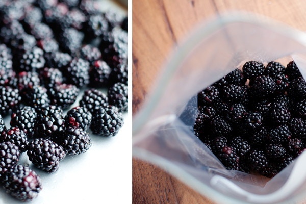 Freeze Berries