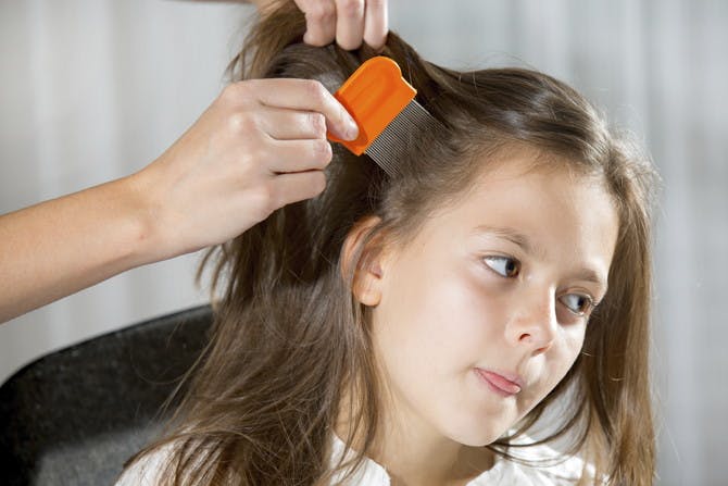 The Best Homemade Lice Treatment - The Krazy Coupon Lady