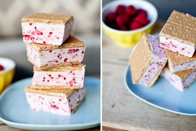 raspberry-frozen-yogurt
