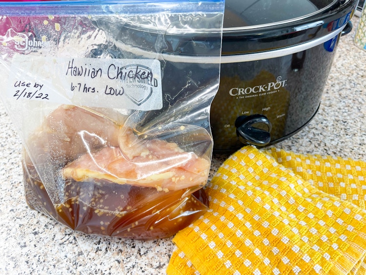 Ziploc bag with a freezer meal next to a crockpot