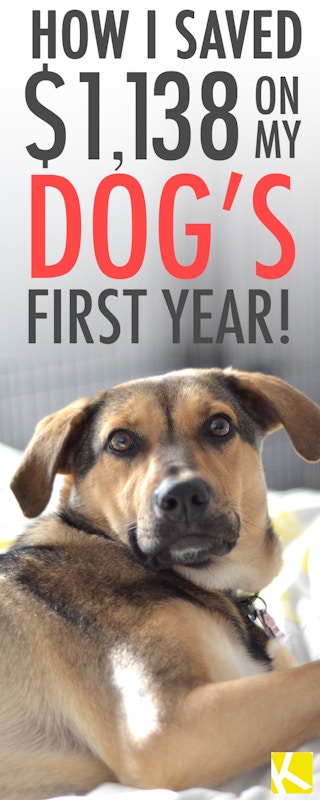 66_pinterest_dogsavings