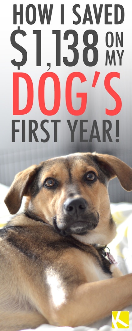 66_pinterest_dogsavings