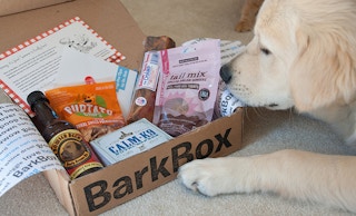 BarkBox
