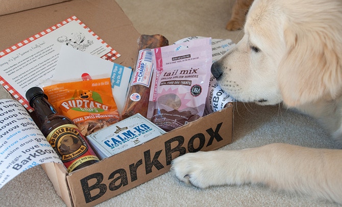 BarkBox