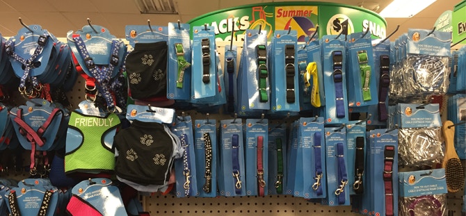 DogCollars
