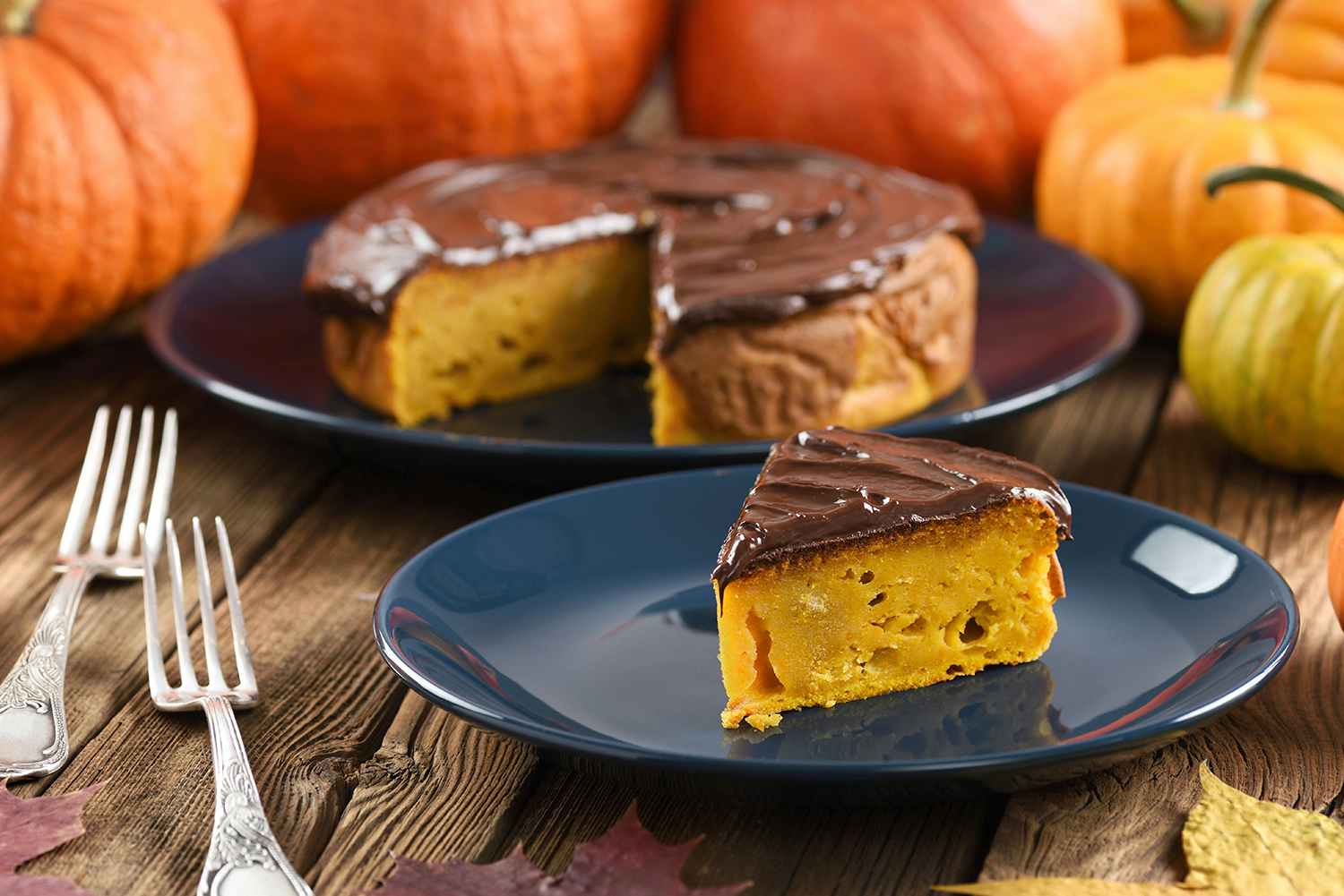 pumpkin cake with chocolate icing recipe