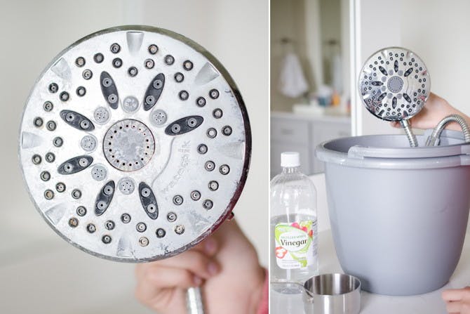showerhead-vinegar