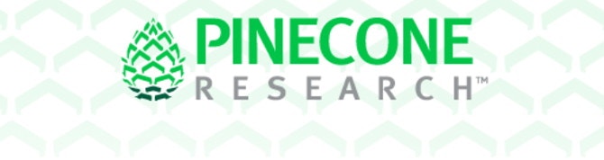 pinecone