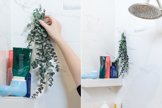 Person hanging eucalyptus sprigs in a shower.