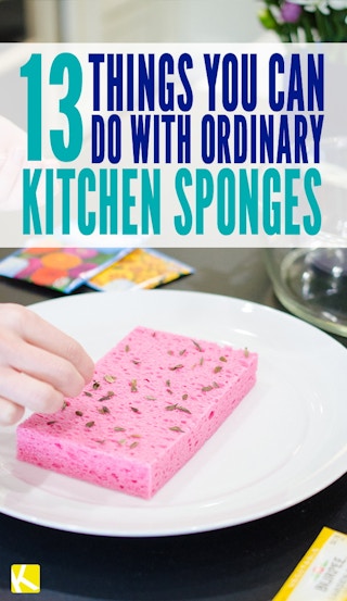 176_pinterest_sponge_2