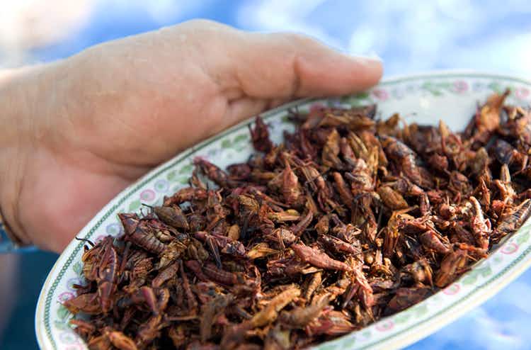 hand holds basket of cooked crickets