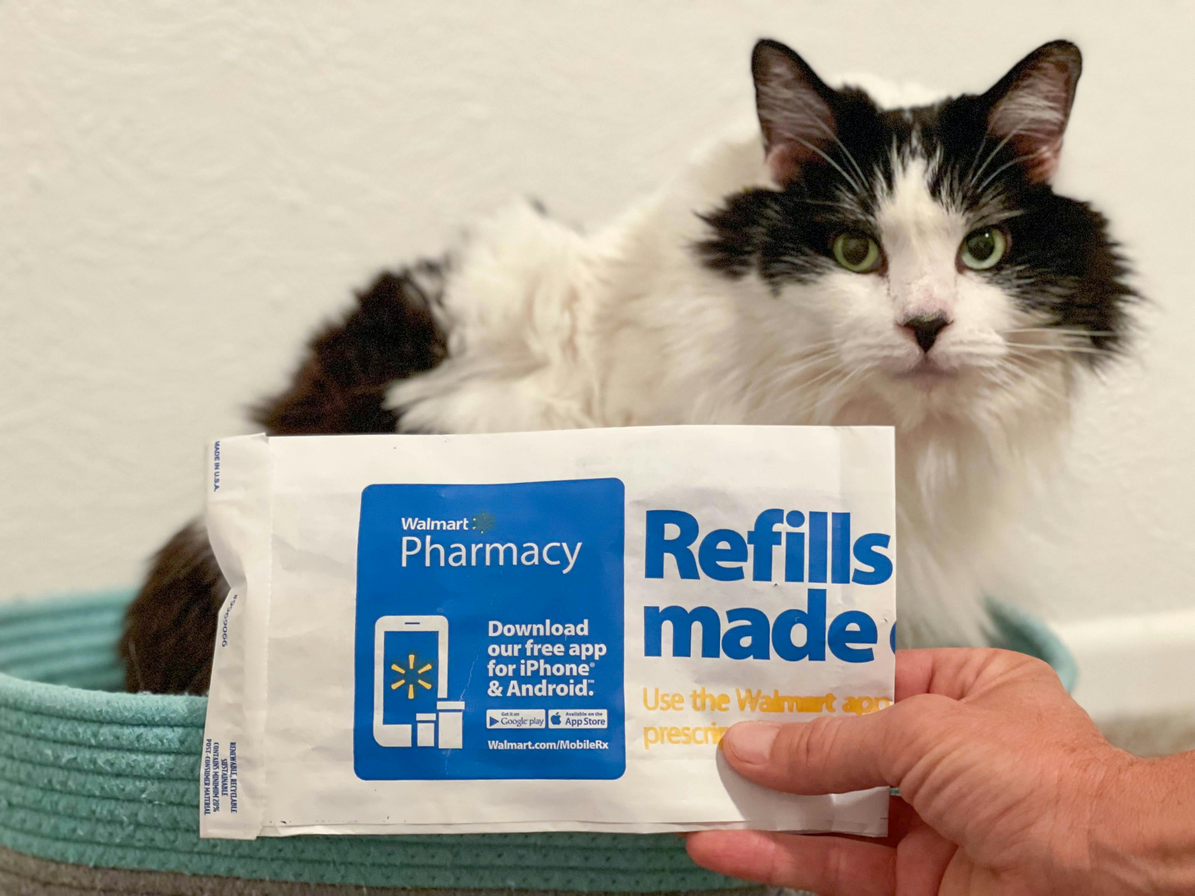 walmart pet rx promo code november 2021