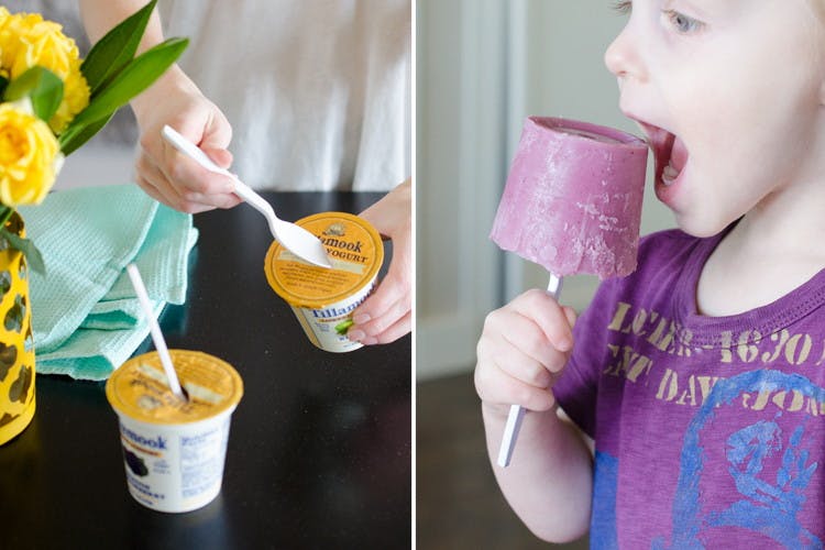 yogurt-pops