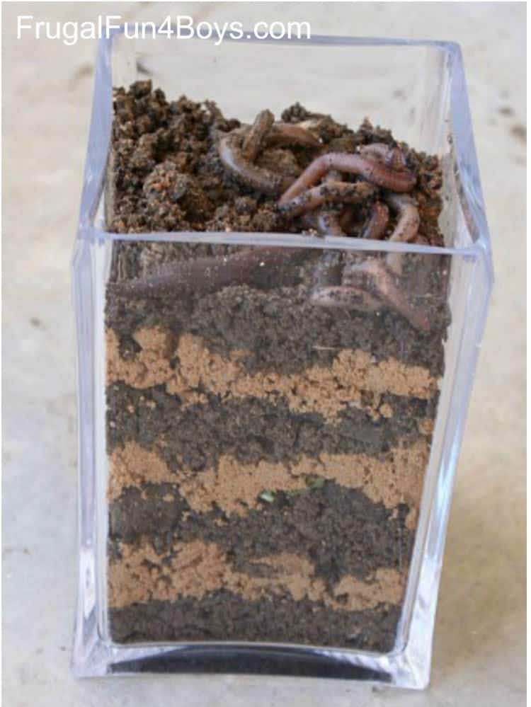 a square vase layered with dirt, sand, and live worms.