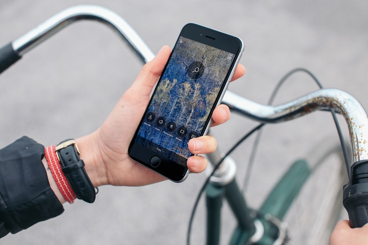 bing app