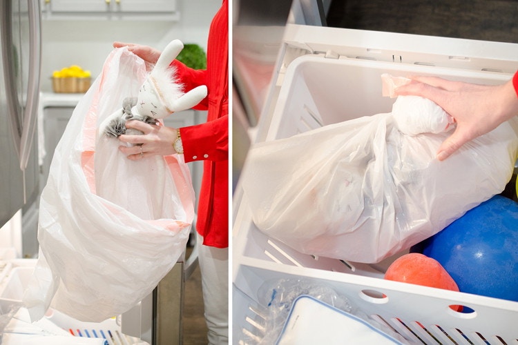 Freeze difficult-to-wash stuffed animals and pillows to kill dust mites or pests.