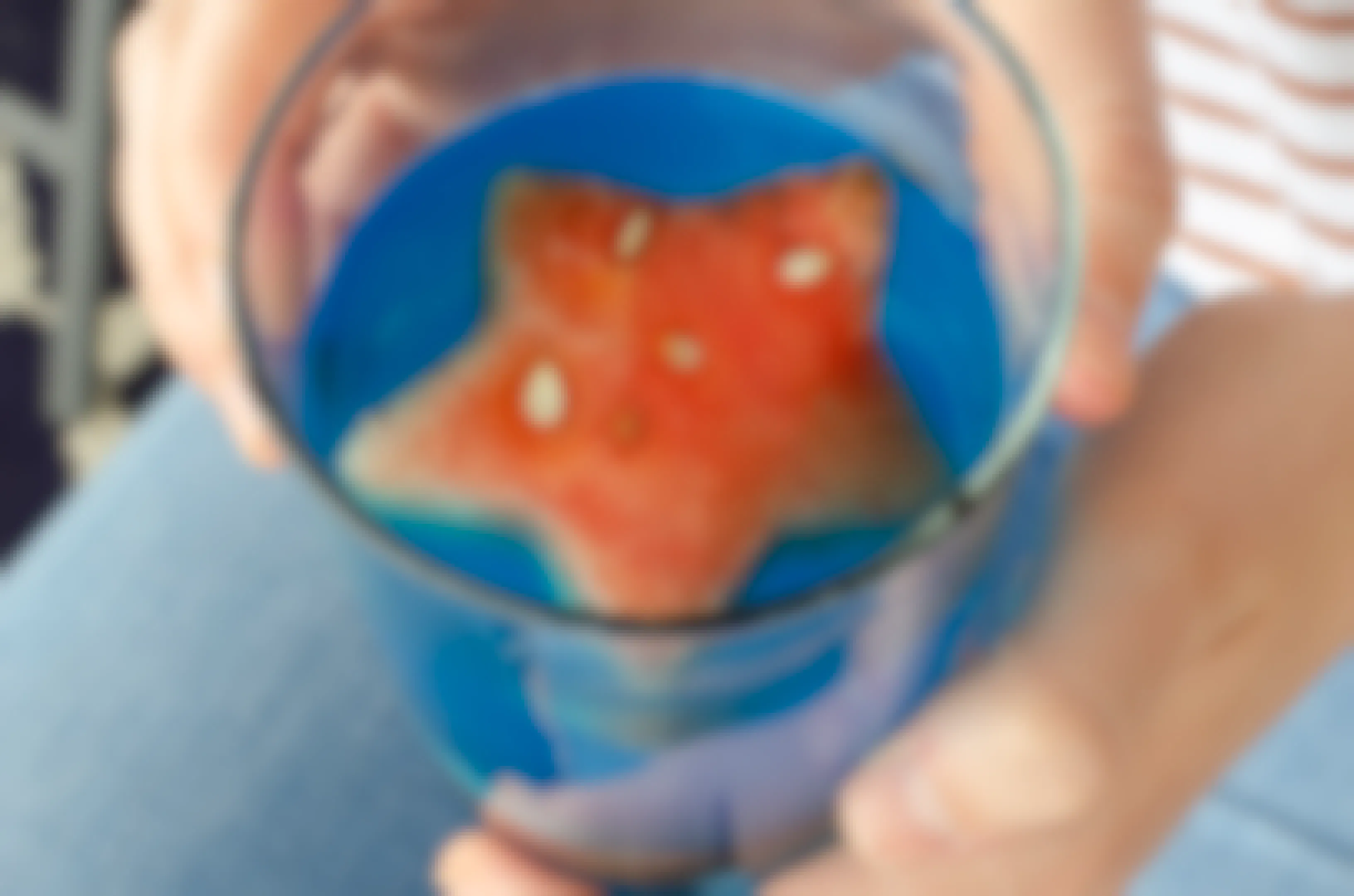 A piece of watermelon cut like a star in a blue drink glass.