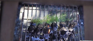 Via Oil-live.com