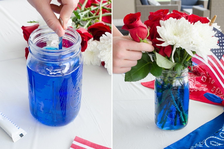 A person stirring blue food coloring into a glass vase of water and putting red and white flowers into the vase.