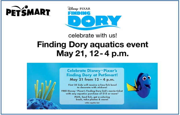 dory fish petsmart