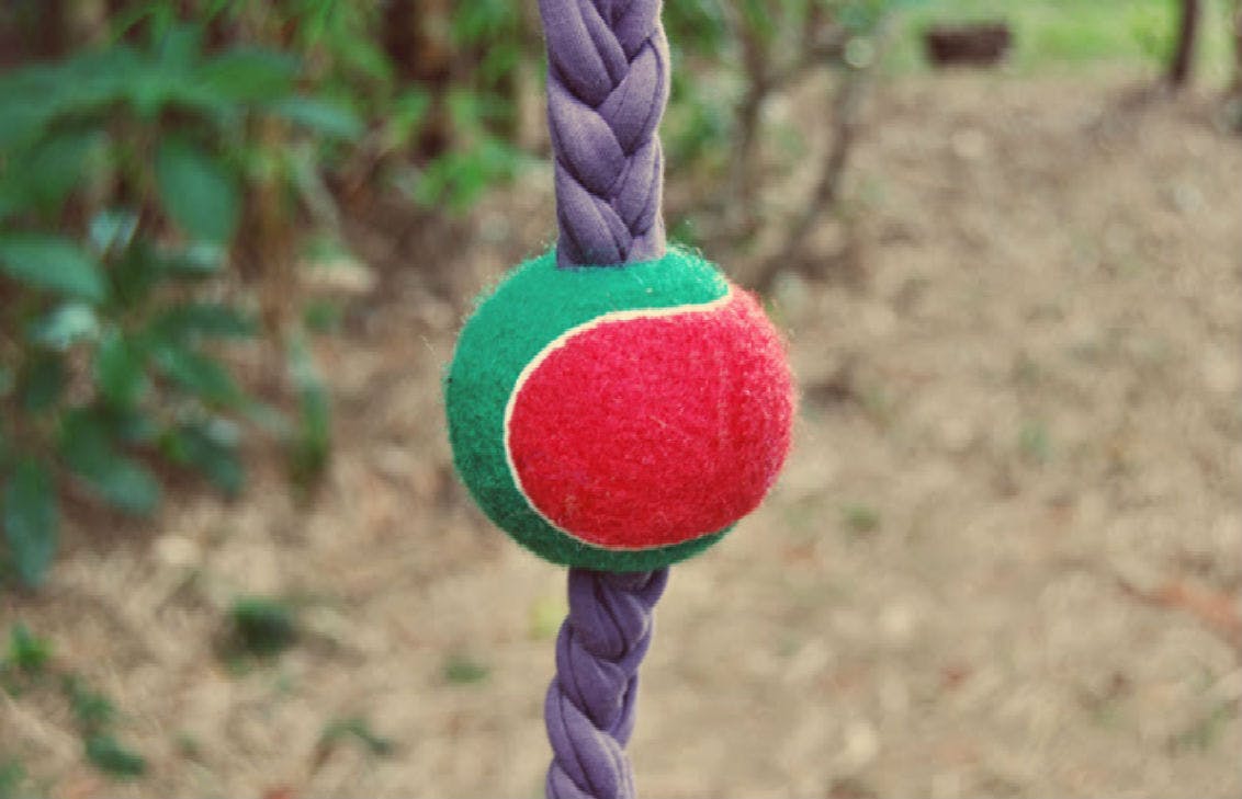 15 DIY Dog Toys Anyone Can Make