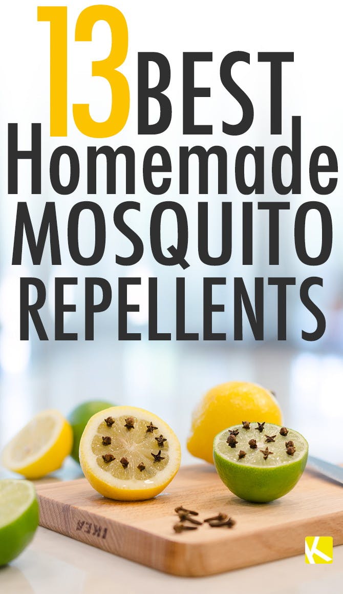 13 Best Homemade Mosquito Repellents