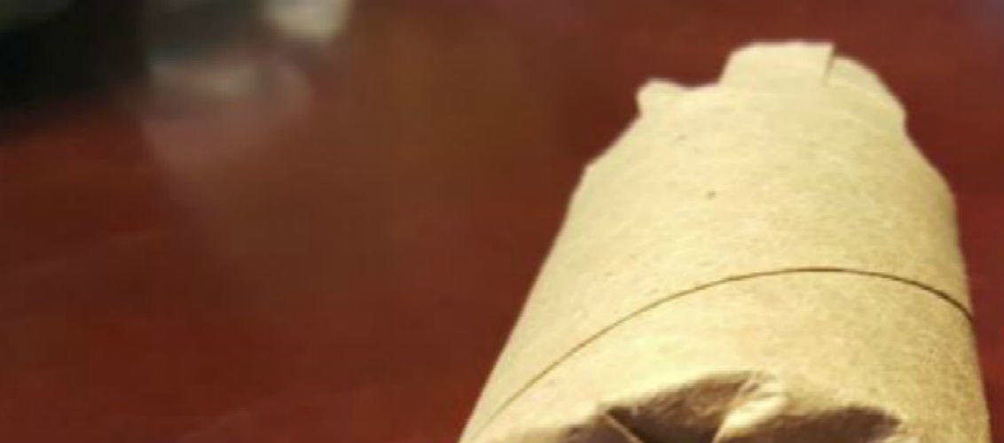 15 DIY Dog Toys Anyone Can Make
