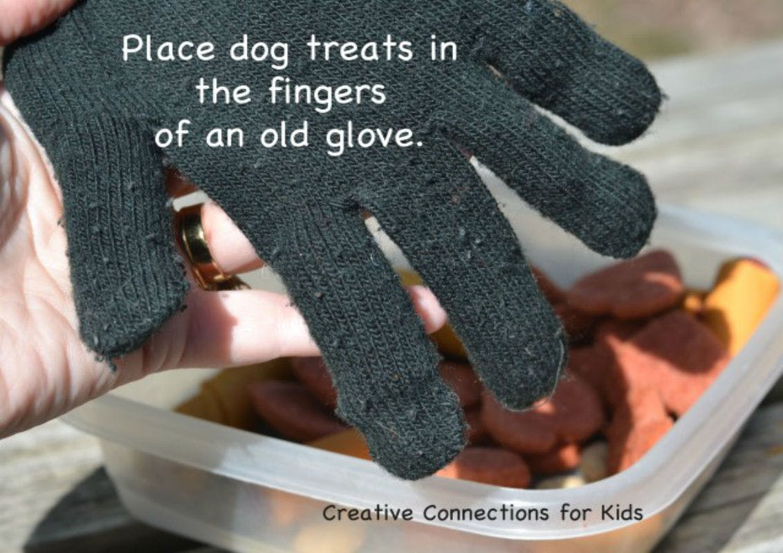15 DIY Dog Toys Anyone Can Make
