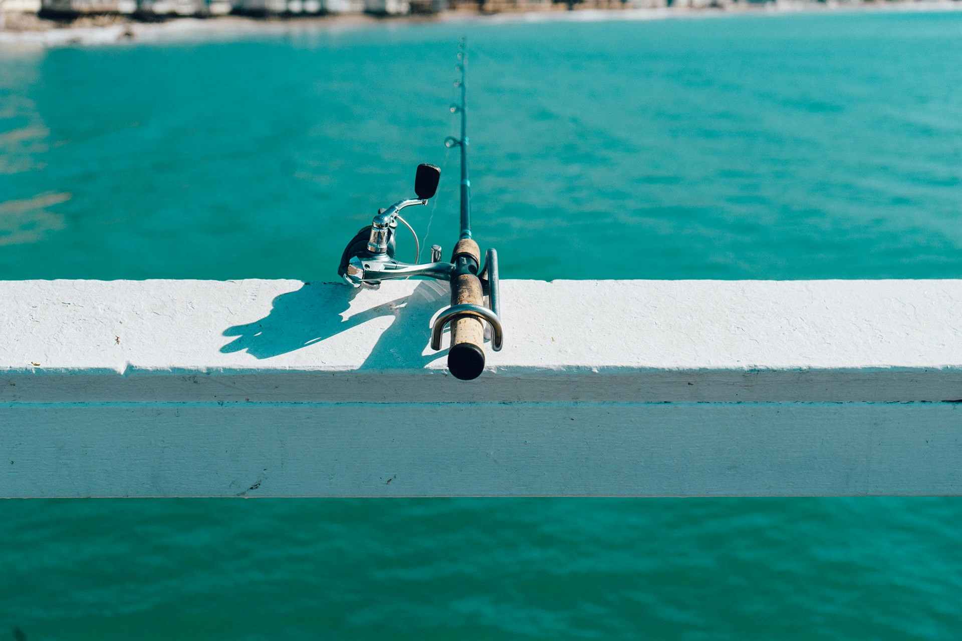 fishing pole next to water